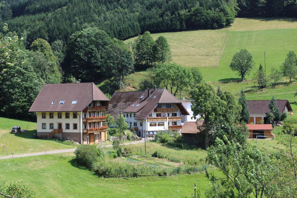 Ferienparadies Hugenhof Apartment Simonswald Exterior photo